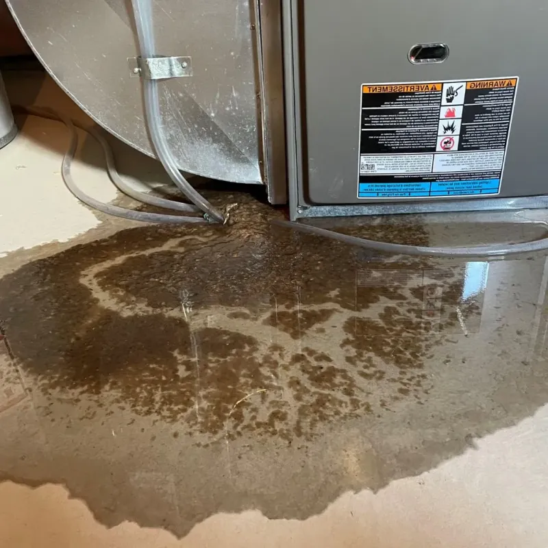 Pipe Burst and Leak Restoration in Choctaw, OK
